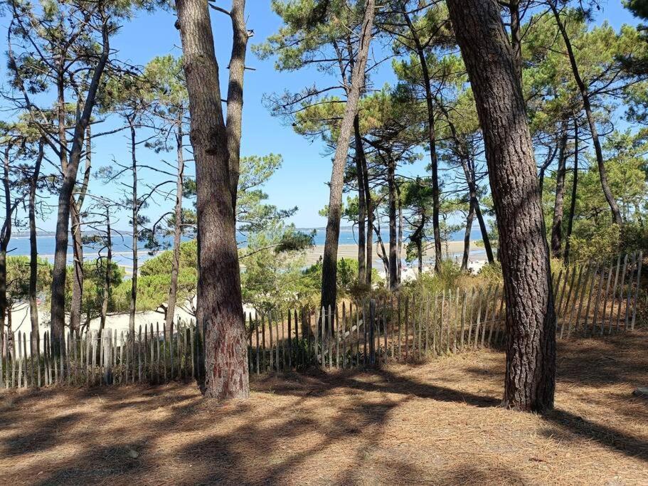 Chez Ced - Gujan-Mestras / Bassin D'Arcachon Bagian luar foto